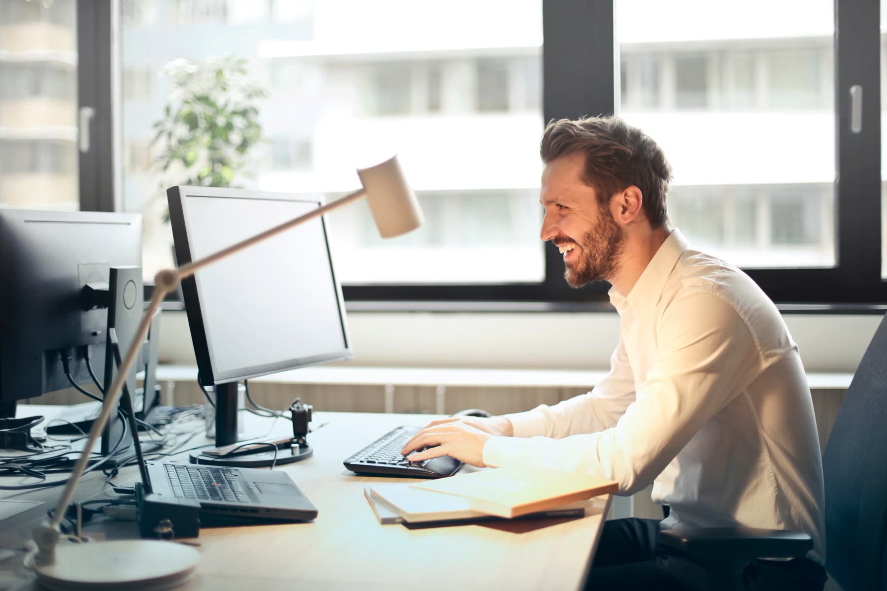 Firm owner working at his desk in a sunlit office